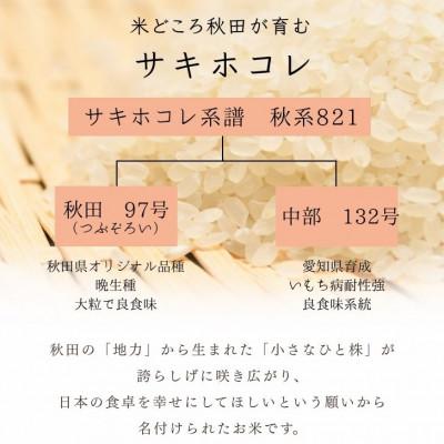 ふるさと納税 大潟村 パックごはん180g24食　サキホコレ　秋田県大潟村産　特別栽培米　 |  | 01