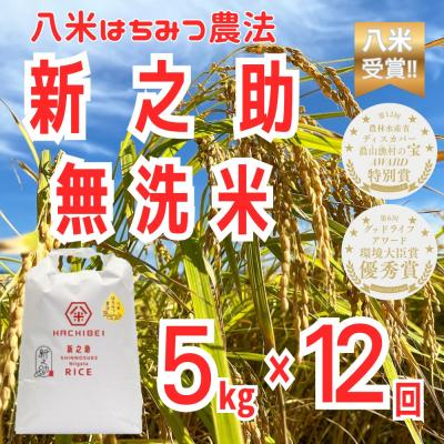 ふるさと納税 阿賀野市 【令和8年産新米先行受付】12ヶ月定期便 八米 はちみつ農法 新之助 無洗米 5kg×12回