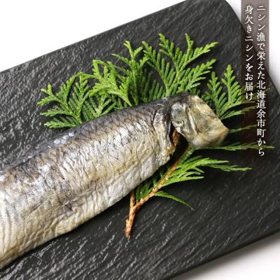 ふるさと納税 余市町 浜干し身欠きニシン◆ソフトタイプ◆<菊地水産>_Y020-0088 |  | 01
