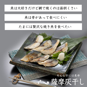 【訳あり・家庭用】薩摩の灰干し 鯖・真鯛セット 計1.05kg (浜上水産/010-1995)  魚 干物 骨取り 骨なし 鯖 サバ 鯛 タイ 真鯛 灰干し 国産