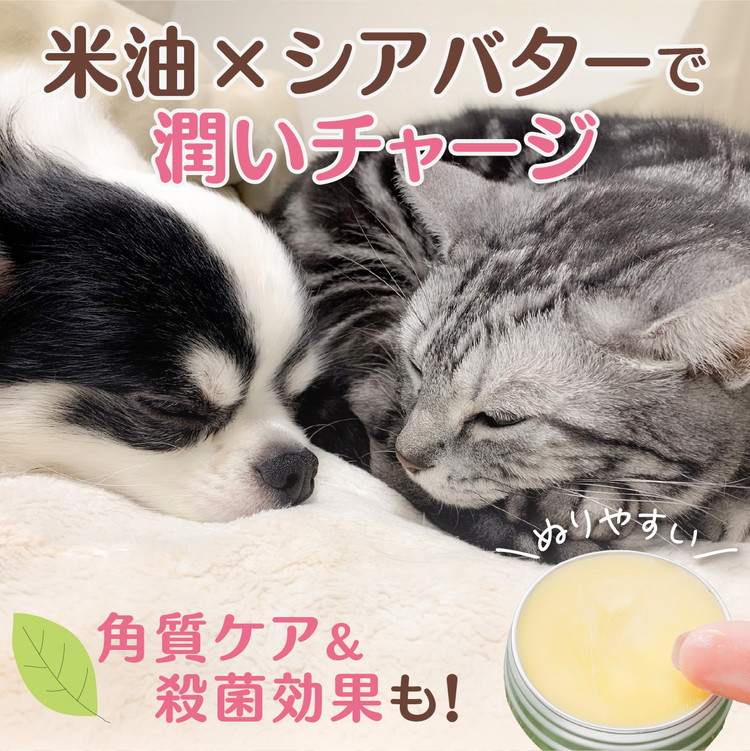 ネコの肉球ケアクリーム 30g【2個セット】 ｜ キャット ペット ケア用品 メンテナンスグッズ お手入れ 飼育 クロモジ 米油 シアバター 安心 蜂蜜成分 潤い 栄養 角質保護 殺菌作用 プレゼント