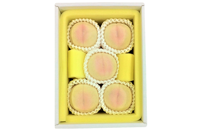 桃 2026年 先行予約 白桃 5玉 合計約1.3kg もも モモ 岡山県産 国産 フルーツ 果物 ギフト