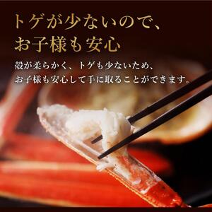 【蟹セレブ】ズワイガニ（紅ズワイガニ）特大1杯（600～700g×1）