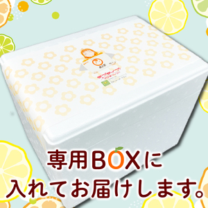 ラブライブ!サンシャイン!! みかん アイス ゼリー  ジェラート 各6個 寿太郎みかん
