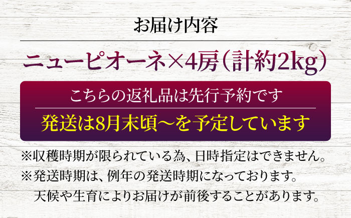 ニューピオーネ 贈答 ギフト 特産品 産地直送 取り寄せ お取り寄せ 送料無料 広島 三次