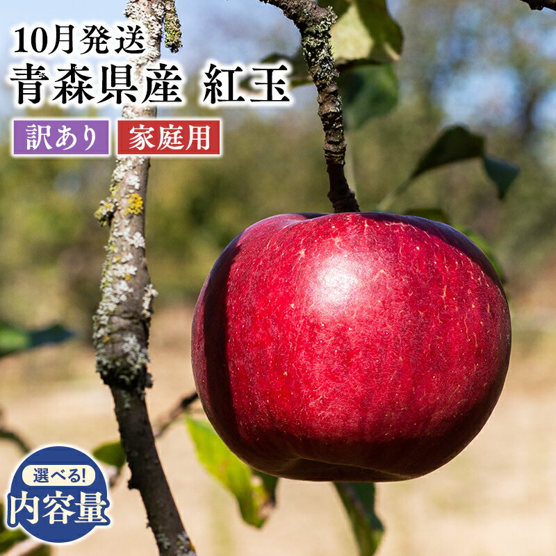 【ふるさと納税】≪内容量が選べる≫ 2026年10月発送 青森県産 訳あり 家庭用 紅玉 2kg 3kg 5kg 【 青森県 平川市 原田農園 】 青森 青森県産 平川 りんご リンゴ 林檎 くだもの 果物 フルーツ