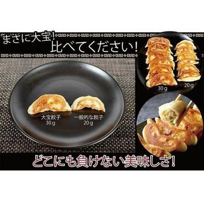 ふるさと納税 横浜市 横浜大宝餃子 もちもち肉汁 ジャンボ餃子 60個(30×2) |  | 02