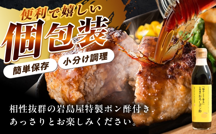 飛騨牛ハンバーグ 牛肉 和牛 国産 お肉 惣菜 おかず ゆず 柚子 柚子ぽん酢 贈答 ギフト おすすめ 人気 岐阜県 恵那市