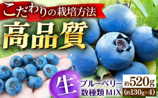 【冷蔵】＜7月上旬から順次発送＞ ブルーベリー 520g（130g×4パック）国産 生ブルーベリー ミックスベリー ベリー フルーツ 果物 くだもの デザート スイーツ ジャム ソース ヨーグルト スムージー 詰め合わせ 人気 おすすめ 美味しい お取り寄せ セット ご当地 特産品 お土産 ご褒美 送料無料 送料込 産地直送 直送 旬 夏 広島 三次市 / 小川モータース [APCH010]