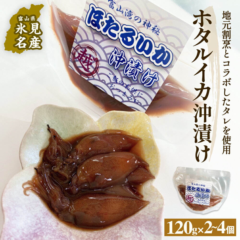 【ふるさと納税】ホタルイカ沖漬け 120g×2-4個 〈冷凍〉