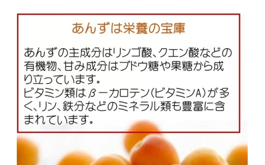 セミドライ 極撰 究極な半生杏子（100g×2袋） | あんず アンズ 杏子 ドライフルーツ