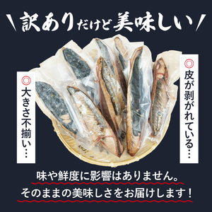 数量限定 訳あり かつおのたたき たれなし 1.8kg ｻｲｽﾞ 不揃い ﾏﾙｺ水産 冷凍