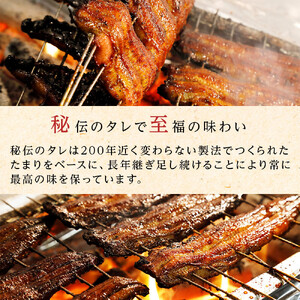 ひつまぶし店『まるや本店』６人用ひつまぶし | うなぎ 鰻 魚介類 水産 食品 人気 おすすめ ギフト 冷凍 温めるだけ お土産 愛知県 長久手市