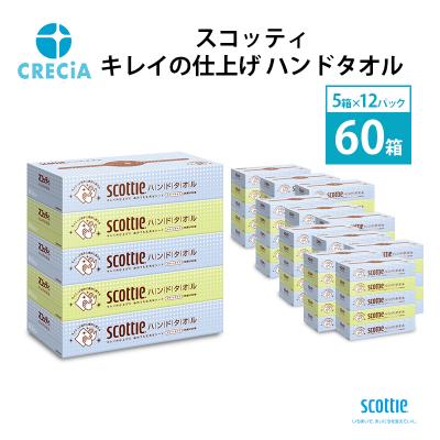 ふるさと納税 岩沼市 ペーパータオル スコッティ ハンドタオル 5箱 × 12パック入り[No.5704-0417]