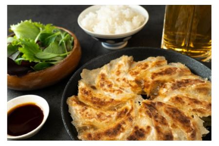 冷凍生餃子 111個 タレ・辣油付 〈丹波産野菜〉 餃子 大容量