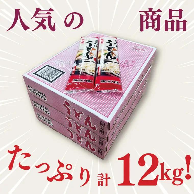 【麺のスナオシ】リピーター続出！手打風うどん３箱　計12kg（200ｇ×60袋）（乾麺）饂飩 麺 即席麺 ストック 生活応援 非常食 簡単調理 長期保存 保存食 防災 人気 大容量 ローリングストック