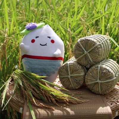 ふるさと納税 多古町 多古米セレクション　宇井稔二さんの多古米コシヒカリ　玄米5kg　令和7年産 |  | 03