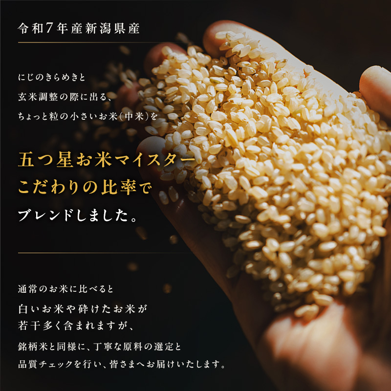 新潟ブレンド米 5kg 2か月定期便 新潟県 新潟市産 令和7年産 お米 精米 米 ご飯 送料無料