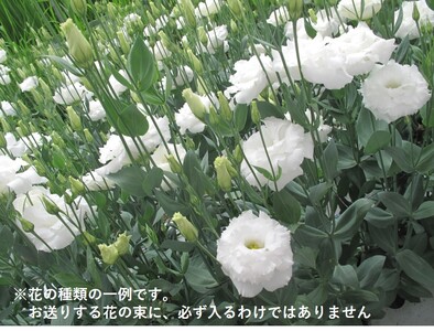 【024-08】切り花（トルコギキョウ等　地場産花）のフラワーアレンジ　小（約20本）