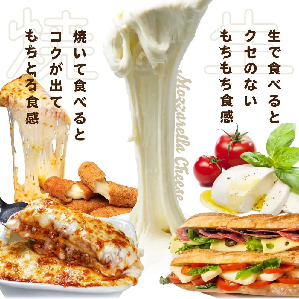 【定期便】森永乳業 モッツァレラチーズ 計900g(100g×9P)×6ヵ月【全6回】チーズ 北海道 別海町