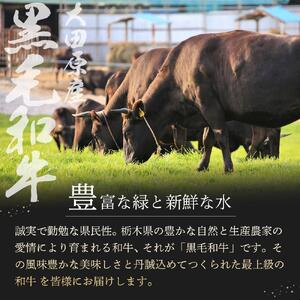 大田原産 黒毛和牛 肩 すき焼き・しゃぶしゃぶ用　500g×2