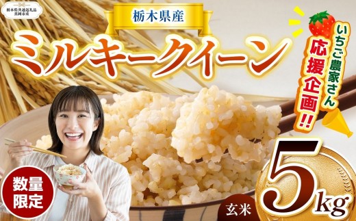 【栃木県共通返礼品】訳あり 数量 限定 定期便 令和8年度産 ミルキークイーン 約 5kg| とちぎの星 ミルキークイーン お米 kome okome ご飯 米 玄米 白米 ごはん おいしい ふるさと納税 那珂川町 栃木県 送料無料