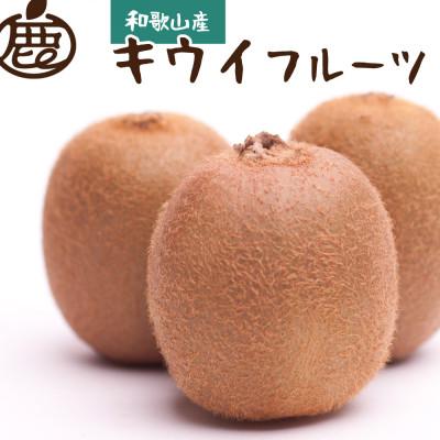 ふるさと納税 湯浅町 ＜先行受付＞厳選キウイフルーツ2.5kg+75g(傷み補償分)
