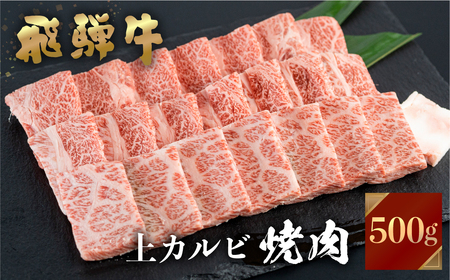飛騨牛 焼肉用 上カルビ 500g JAひだ 飛騨牛 [S446]