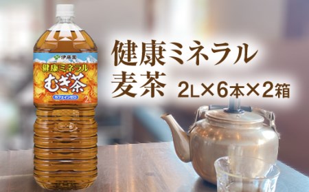 健康ミネラル麦茶2L×6本×2箱【500004】