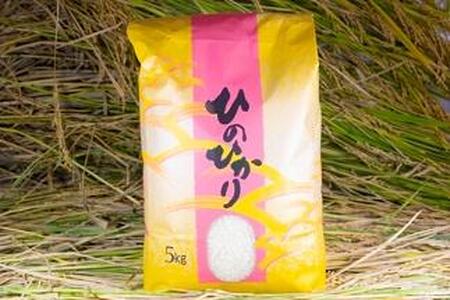 2022年秋収穫分 福岡県大川市産ヒノヒカリ 5ｋｇ【ギフト包装】