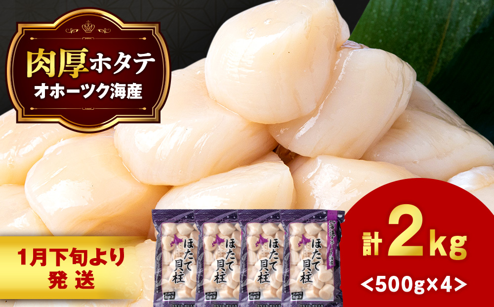 【1月末発送】 ほたて 貝柱 大粒 冷凍 2kg（500ｇ×4パック） お取り寄せ 刺身 《横田水産》