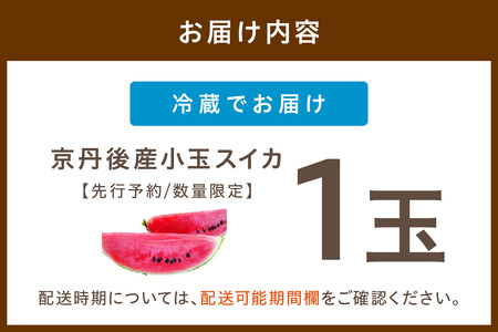 【先行予約／数量限定50】にしまるスイカ 1玉入り（2024年6月下旬から発送）