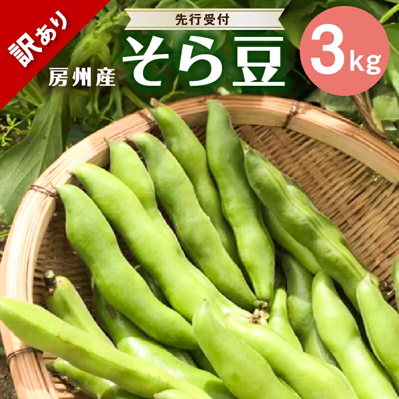 【ふるさと納税】【先行受付 2026年4月中旬～5月中旬発送予定】そら豆/ソラマメ3kg【訳あり】 千葉県 南房総市 特産 当日出荷 新鮮 野菜 お取り寄せ 栄養 ミネラル ビタミン 植物性タンパク質 塩茹で 焼き パスタ 柔らか 甘み 食味 送料無料