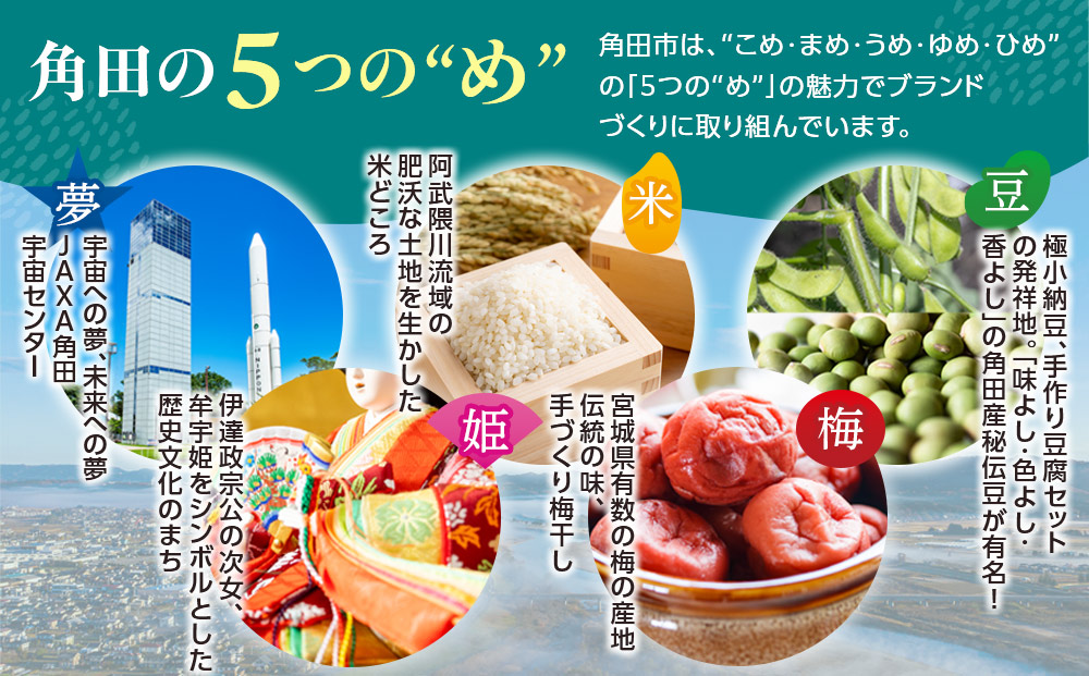 【先行予約】角田市産ぶどう【クイーンニーナ】1房（約500g）【2026年9月末より順次発送】