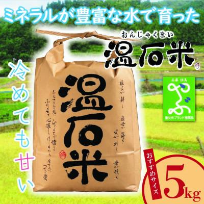 ふるさと納税 養父市 甘くて、冷めても美味しい「温石米」5kg(2025年収穫米)