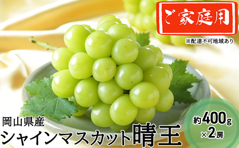 ぶどう 2026年 先行予約 ご家庭用 シャイン マスカット 晴王 約400g×2房 ブドウ 葡萄 岡山県産 国産 フルーツ 果物