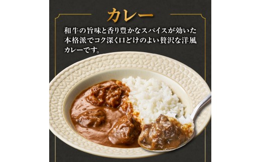 上場亭 ごろっと黒毛和牛カレー＆ごはんにかける黒毛和牛ビーフシチュー 4箱（各2箱） ／ カレー レトルト お手軽 牛肉 肉 佐賀産和牛 黒毛和牛 加工品 国産 佐賀県 玄海町 常温