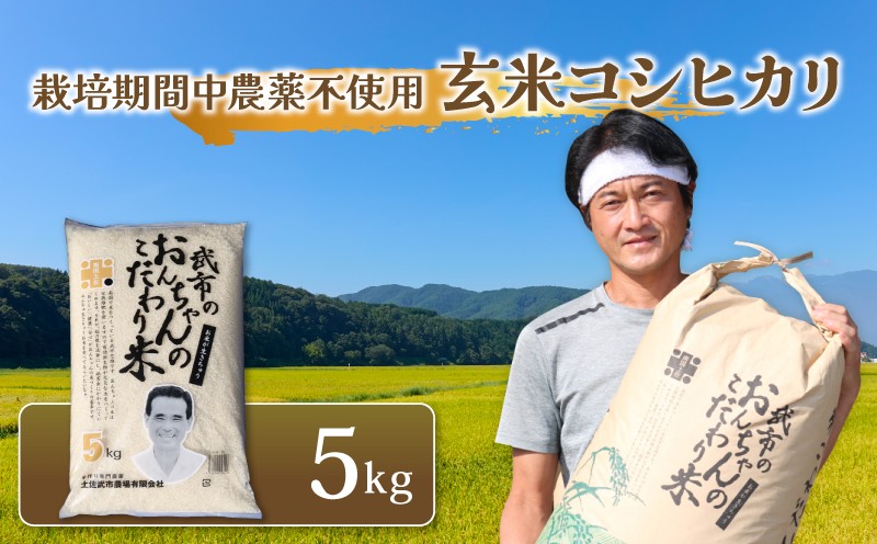 
                  【先行予約】 特別栽培米 栽培期間中農薬不使用 玄米 コシヒカリ 数量限定 5キロ 5kg 令和8年度 米 コメ お米 ご飯 おにぎり こめ 農家直送 産地直送 高知県 南国市
                