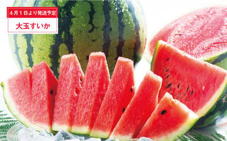 【年3回定期便】  くまもと の すいか 食べ比べ 定期便 合計4玉 スイカ 西瓜 果物 くだもの フルーツ 【2026年4月上旬発送開始】