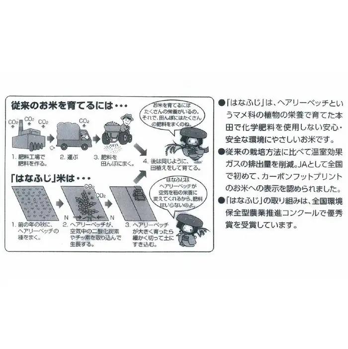 令和7年産 大津産コシヒカリ「はなふじ」 精米 5kg 米 [AZ001]