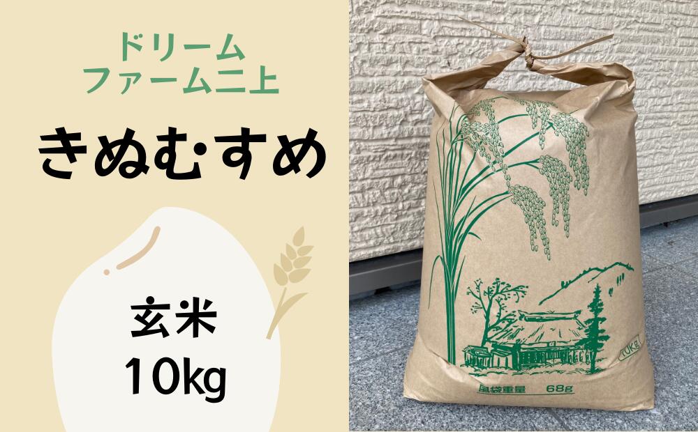 【ふるさと納税】【2025年産 先行予約】岩美町産きぬむすめ（玄米）10kg｜鳥取 岩美 お米 おこめ コメ【31021】