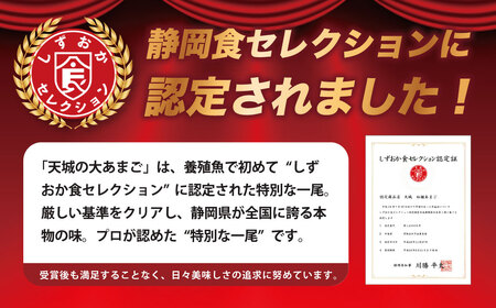 おつまみにどうぞ！紅姫あまごのスモークサーモン（サーモン スモークサーモン 燻製 お酒 ワイン 自家燻製 伊豆 薫り高い レシピ タンパク質 栄養）