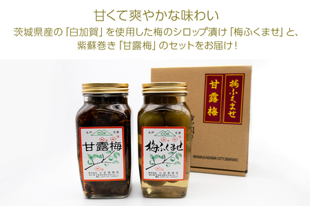 梅ふくませ・甘露梅セット260g AE-008
