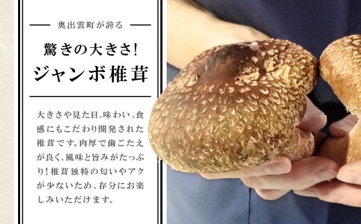 大きさや見た目、味わい、食感にもこだわり開発された椎茸です。
肉厚で歯ごたえが良く、風味と旨みがたっぷり！
