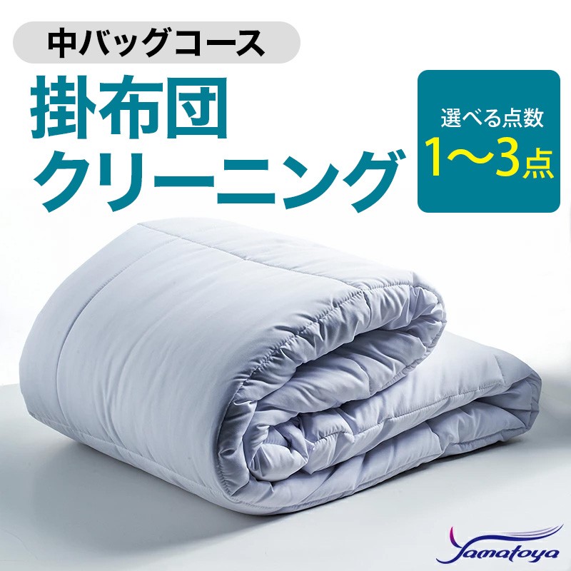 
                  掛布団クリーニング (1～3点パック) 中バッグコース 1～3点 丁寧 丸洗い セミダブル 掛け布団 寝具 こたつ 丸洗い クリーニング シーツ 高品質ヤマトヤクリーニング 糸魚川 帰省 年末年始 実家 寝具 布団クリーニング
                