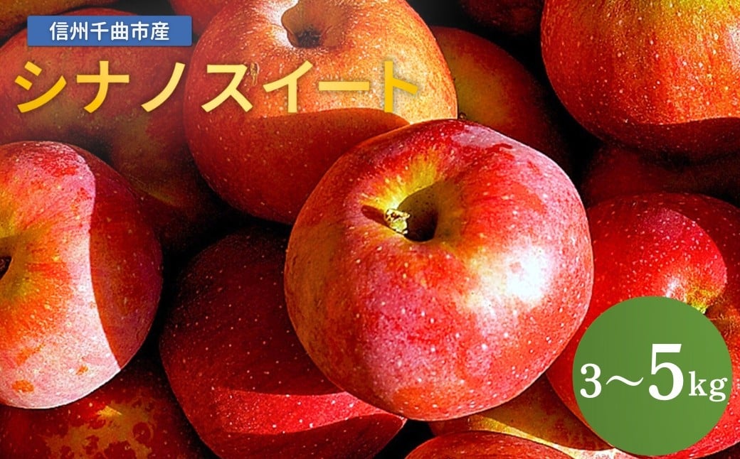 
                  【2026年先行予約】りんご シナノスイート 約3kg / 5kg｜ リンゴ 林檎 フルーツ 果物 信州りんご 長野県産 千曲市 信州
                