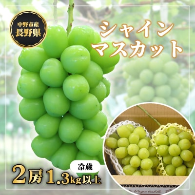 長野県中野市産　冬でも食べれる　シャインマスカット2房(1.3kg以上)【配送不可地域：離島】【1331174】