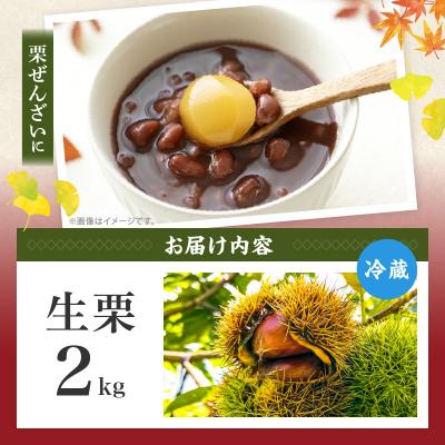 ふるさと納税 高千穂町 高千穂・ひのかげくり(9月限定) |  | 02