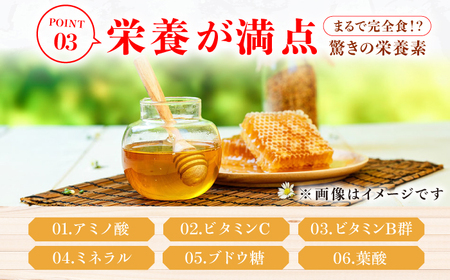 【先行受付 令和6年12月より発送】箱みつ 400g 蜂蜜 はちみつ 高級 濃厚 バター 広川町 / 株式会社九州蜂の子本舗[AFAI011]