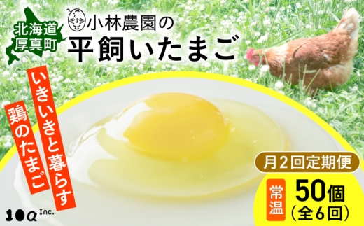 【月2回・全6回定期便】【常温配送】小林農園の平飼いたまご・無投薬 50個《厚真町》【テンアール株式会社】 有精卵 卵 鶏卵 玉子 生卵 平飼い 北海道 定期便 [AXAN031]